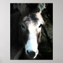 Search for donkey posters Cute