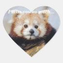 Search for red panda stickers Cute animal