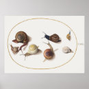 Search for snail posters Vintage