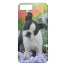 Search for boston terriers iphone cases Puppy
