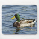 Search for drake mousepads Nature