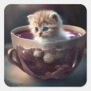 Search for coffee cat stickers Pet