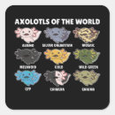 Search for newts stickers Salamander