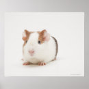 Search for look back posters Cute