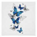 Search for vibrant color posters Butterfly