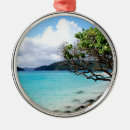Search for st thomas christmas tree decorations Beach