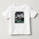 Search for landforms tshirts Alps