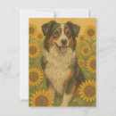 Search for aussie shepherd postcards Australian