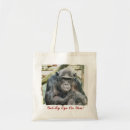 Search for chimpanzee bags Primates