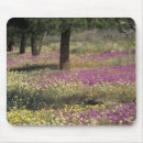 Search for midwest mousepads Countryside
