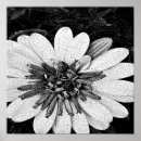 Search for pixel art posters Floral