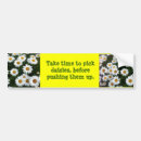 Search for daisy bumper stickers Daisies