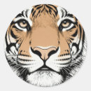 Search for tiger close up stickers Animal