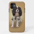 Search for cavalier king charle electronics Pets