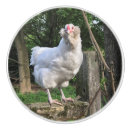 Search for chicken knobs and pulls Hen