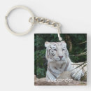 Search for predator key rings Big cats