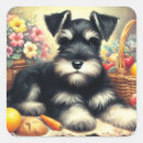 Search for schnauzers stickers Puppy