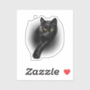 Search for yellow cat eyes stickers Kitten