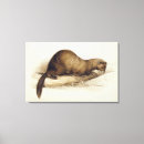 Search for pen canvas prints Wild