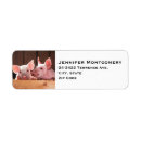 Search for piggy return address labels Piglet