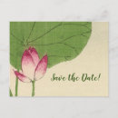 Search for lily pad postcards Watercolor