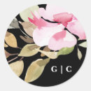 Search for dramatics stickers Bride