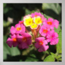 Search for international womens day posters Female