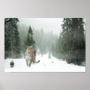 Search for big cat posters Snow