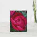 Search for bloom note cards Peony