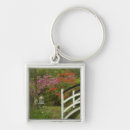 Search for five key rings Colourful