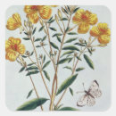 Search for plate stickers Flowers