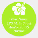Search for green island stickers Hibiscus
