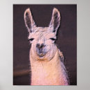 Search for llama art Cute