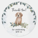 Search for cute golden retriever puppy stickers Whimsical