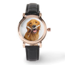 Search for golden retriever watches Closeup