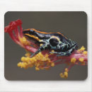Search for environment mousepads Wildlife