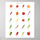Search for chili posters Pepper