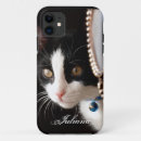 Search for black and white cat cases Kitten