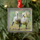 Search for canadian goose christmas tree decorations Animal