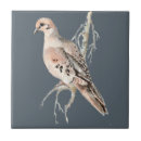 Search for dove bird tiles Nature