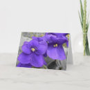 Search for violet colour cards Flower