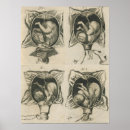 Search for midwife posters Pregnancy