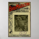 Search for 1903 art Antique