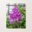 Search for orchid puzzles Nature