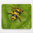Search for poisonous mousepads Amphibian