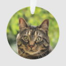 Search for brown tabby cat christmas tree decorations Cute