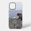 Search for bear cases Retro
