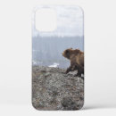 Search for bears iphone cases Retro