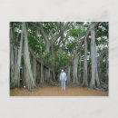 Search for edison postcards Florida