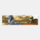 Search for raven bumper stickers Nature